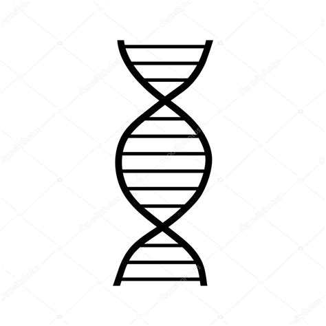 Dna Drawing At Explore Collection Of Dna Drawing