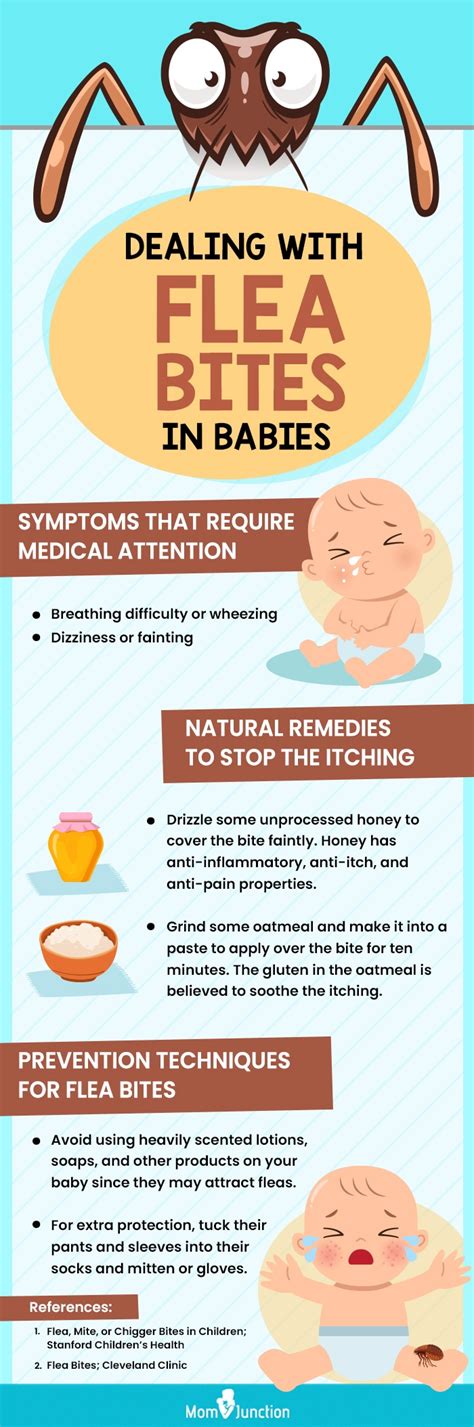 Flea Bites On Babies Pictures Treatment And Prevention Momjunction