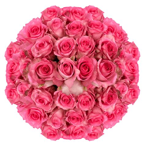 100 Stems Of Priceless Roses Fresh Flower Delivery