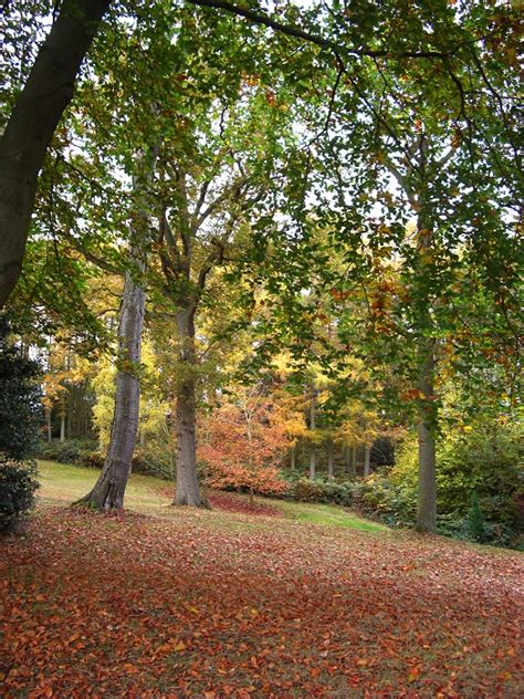 Diary Of An English Country Garden Autumn Colours