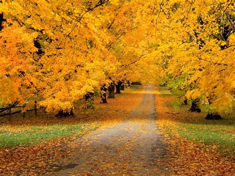 Autumn Wallpapers Pictures Wallpaper Cave