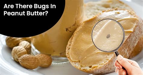 Are There Bugs In Peanut Butter 7 Things You Must Know