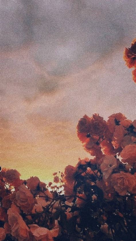 aesthetic wallpaper for iphone 🌼 | Iphone wallpaper tumblr aesthetic