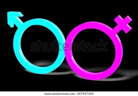 3d gender sex concept male female stock illustration 387947104 shutterstock