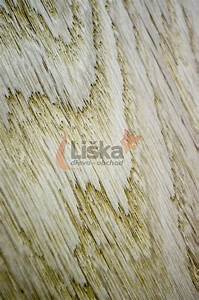 Podlahové palubky dub