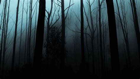 Night Forest Wallpapers Hd Download Free