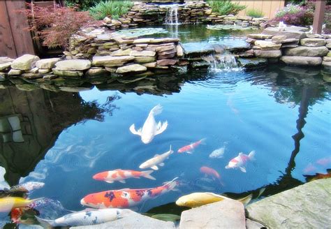 Tambahan jembatan di atas kolam ikan yang lurus. bentuk kolam ikan koi dan ikan hias - Air Kolam Pegunungan