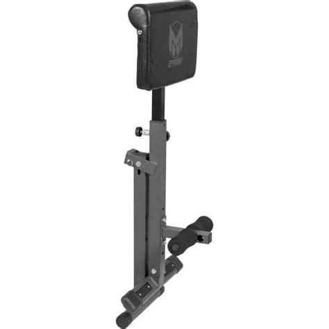 Die rückenmuskeln sind antagonisten der bauchmuskeln. Gyronetics E-Series Foldable Hyperextension Bench-GN010 ...