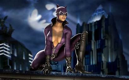 Dc Universe Fantasy Catwoman Boobs Comics Character