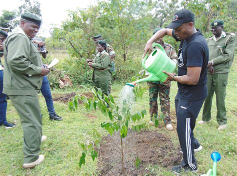 Residents Urged To Protect Kakamega Forest Plant More Trees