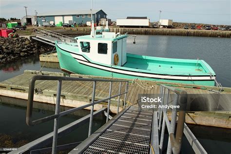 Boat Tied To A Floating Dock Stock Photo Download Image Now