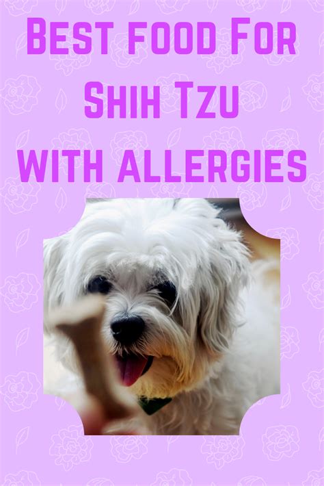 Maybe you would like to learn more about one of these? Best dog food for Shih Tzu with allergies | Best dog food ...