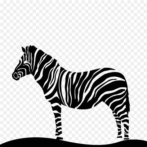 Paling Populer 30 Gambar Kartun Zebra Cross Gambar Kartun Ku