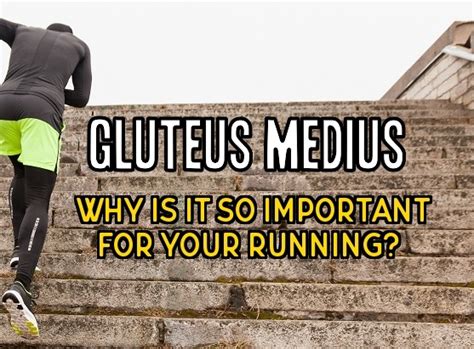 Επηρεάζει κυρίως τα πόδια, τα χέρια και τα άκρα. Μέσος γλουτιαίος μυς: Γιατί είναι πολύ σημαντικός για τους ...