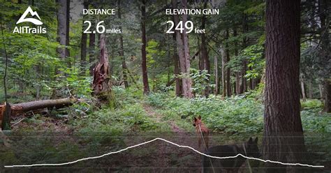 Using avenza you can utilize your phone's. Forest Trail - Michigan | AllTrails