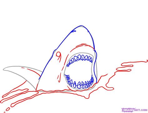 How do you draw shark for kids? Clipart Panda - Free Clipart Images