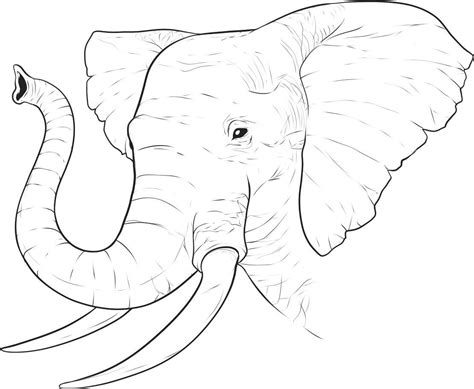 For boys and girls, kids and adults, teenagers and toddlers, preschoolers and older kids at school. Free Printable Elephant Coloring Pages For Kids