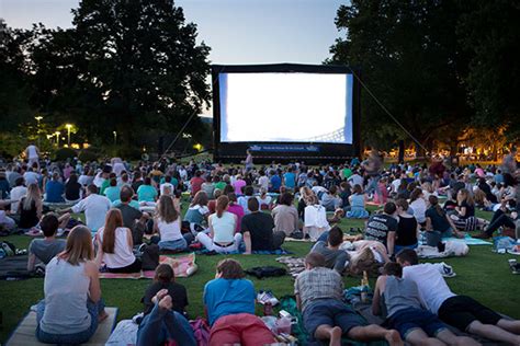 I've heard of pitchboards, but this is the first i hear of gorilla. A V Party Rentals - What Do You Need for Outdoor Movie Night?