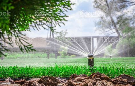 Using an automatic lawn sprinkler system will increase your water bills. Automatic Sprinkler System Watering The Lawn On A Background Of Green Grass Stock Photo ...