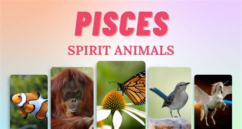 7 Pisces Spirit Animals That Embody This Zodiac Sign So Syncd