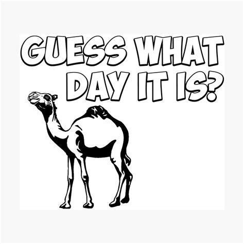 Clip Art Hump Day Best Free Library