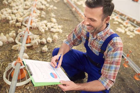 Desafios Do Agroneg Cio Quais S O E Como Superar Agronota