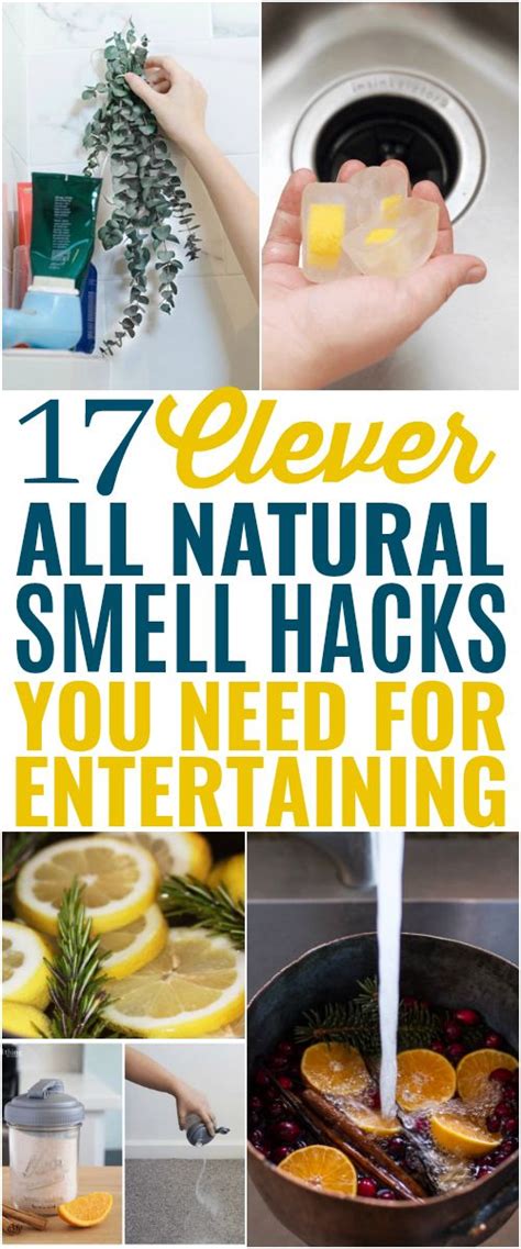 17 Brilliant All Natural Home Scent Hacks Home Scents House Smells