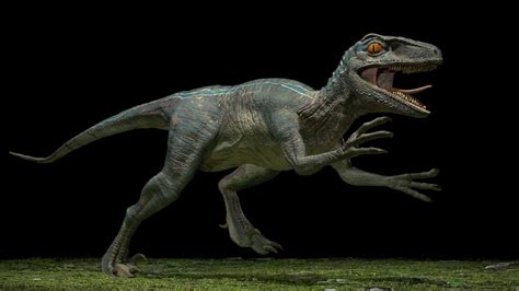 Velociraptor 3d Model Cgtrader