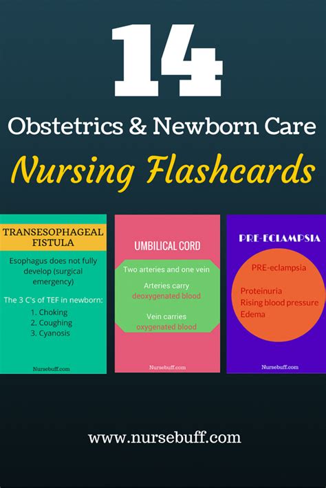 Lpn Vs Rn Whatdoesanlpndo Neonatal Nurse Nurse Nursing Flashcards
