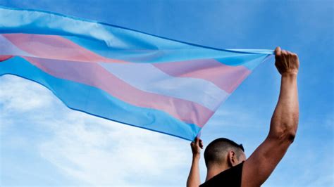 Salud Sexual En Jóvenes Transgénero Una Asignatura Suspendida