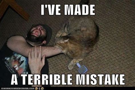 Ive Made A Terrible Mistake Lolcats Lol Cat Memes