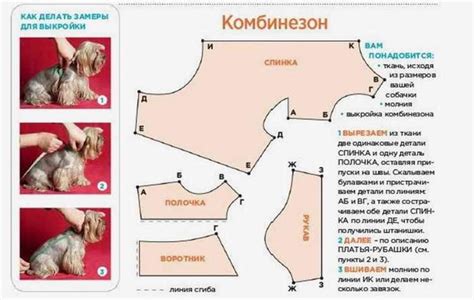 Функции одежды для кошек, правильный выбор, варианты выкройки и пошива
