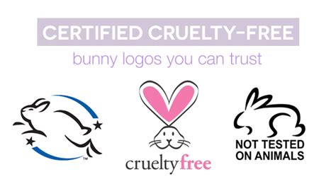 In the mean time, as your assessor or rp, we. Your "Cruelty-Free" Brand Is Lying To You | Free beauty ...
