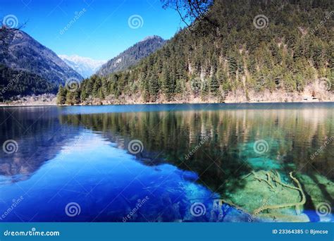 Forest And Lake Jiuzhai Stock Image Image Of Snow Clear 23364385