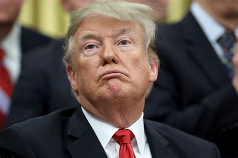 Trump news today is an aggregation of recent articles, tweets, and video featuring donald trump. Trump grades himself an A+. Voters don't agree. - POLITICO