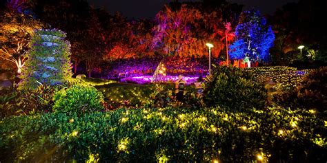 Maybe you would like to learn more about one of these? The Enchanted Garden | Event News | The Weekend Edition