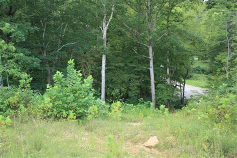 Waverly, Wood County, WV Recreational Property, Timberland Property for