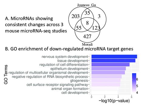micrornas regulating mouse naïve to primed escs transition a venn download scientific