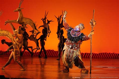 Si cela peut servir à certains ou donner des idées à d'autres, tant mieux. Le roi lion, la comédie musicale - À voir et à manger