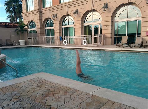 Renaissance Tampa International Plaza Hotel Pool Pictures And Reviews