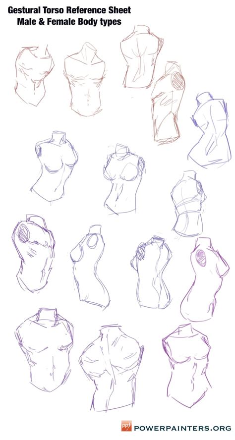 This is how i draw male torso '_' (i dunno if i'll say it tutorial '_') download it for the fullsize you're free to tell your opinion and feel free to a. Hey Power Painters! Here are some torso sketches to use as ...