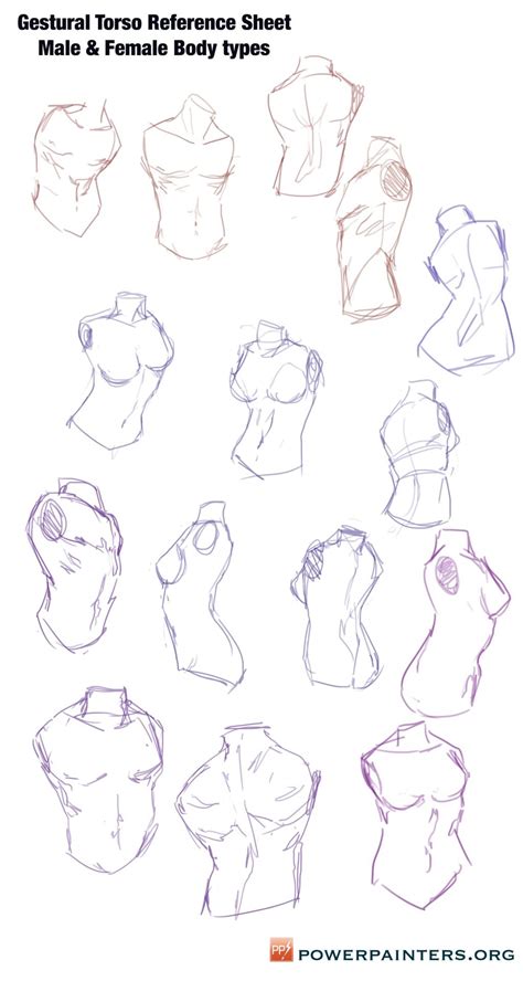 I quite liked drawing these ones. Hey Power Painters! Here are some torso sketches to use as ...