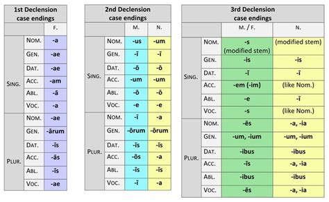 case endings of the first second and third declensions latin conjugation chart classical