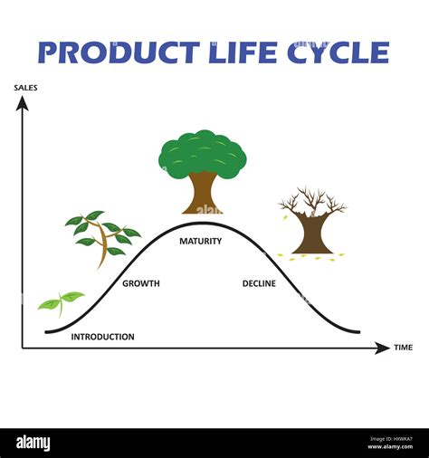 รายการ 91 ภาพพื้นหลัง วงจรชีวิตผลิตภัณฑ์ Product Life Cycle ครบถ้วน