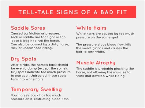 Signs Of A Bad Saddle Fit