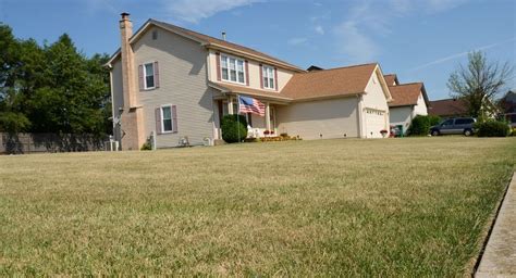 Like us, grass needs nutrients and those nutrients come in the form of sunlight, air, and water. Expert: Give trees, lawns some extra attention during heat wave