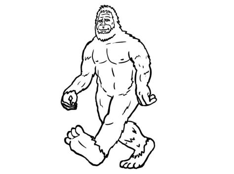 Coloring Pages for Kids