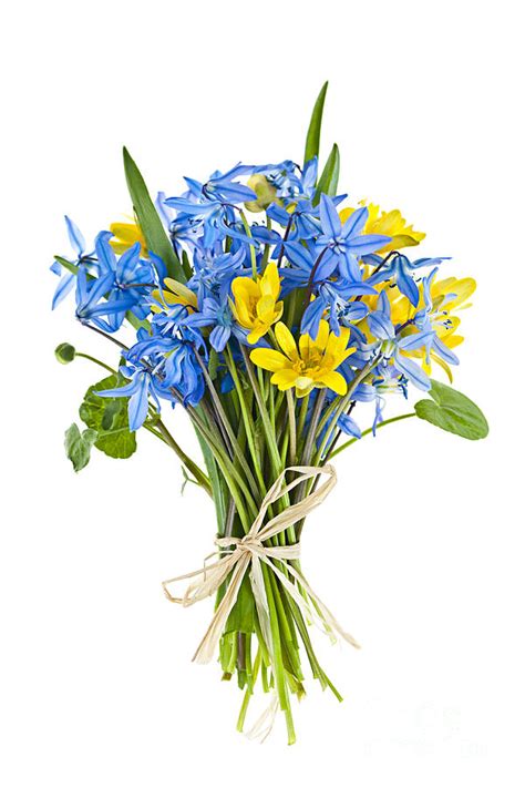 Huge bouquet of flowers images. Bouquet Of Fresh Spring Flowers Photograph by Elena Elisseeva