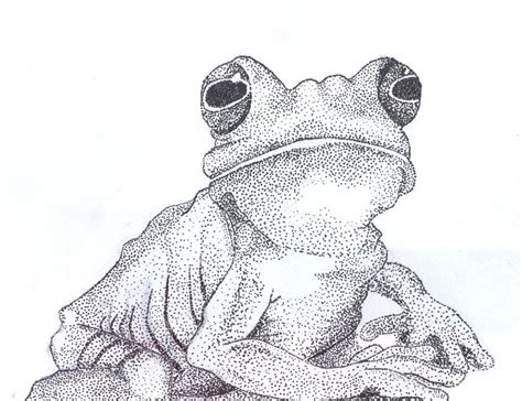 See more ideas about frog drawing, frog, drawings. Frog made with pointillism by LaCaritas on deviantART ...