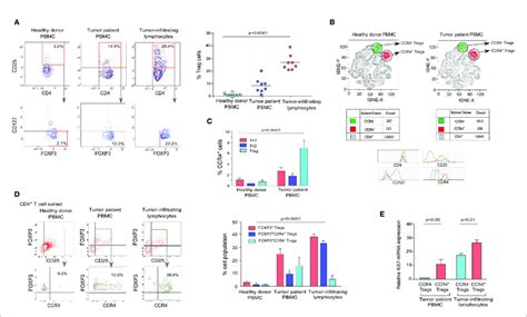 Tumor Infiltrating Treg Cells Showed Higher Expression Of Ccr Than Download Scientific